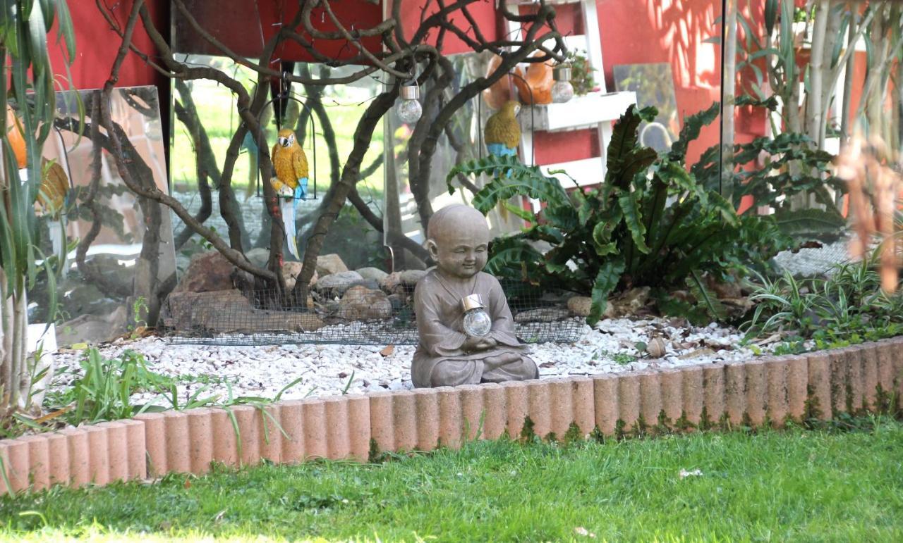 Maison Toulousaine Avec Jardin Toulouse Dış mekan fotoğraf