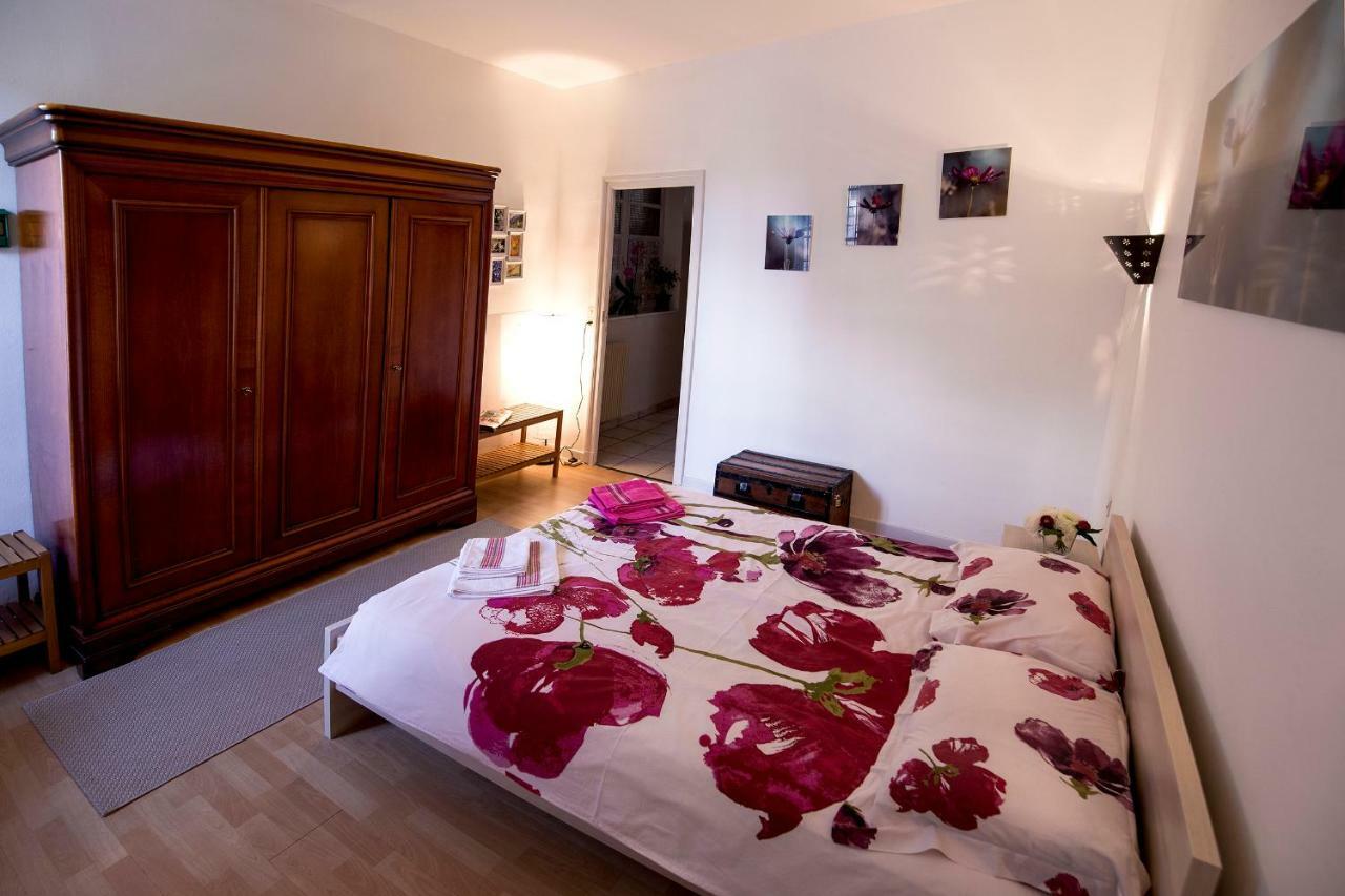 Maison Toulousaine Avec Jardin Toulouse Dış mekan fotoğraf